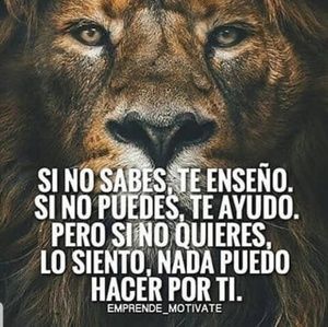 Meet your Posher, Bryan